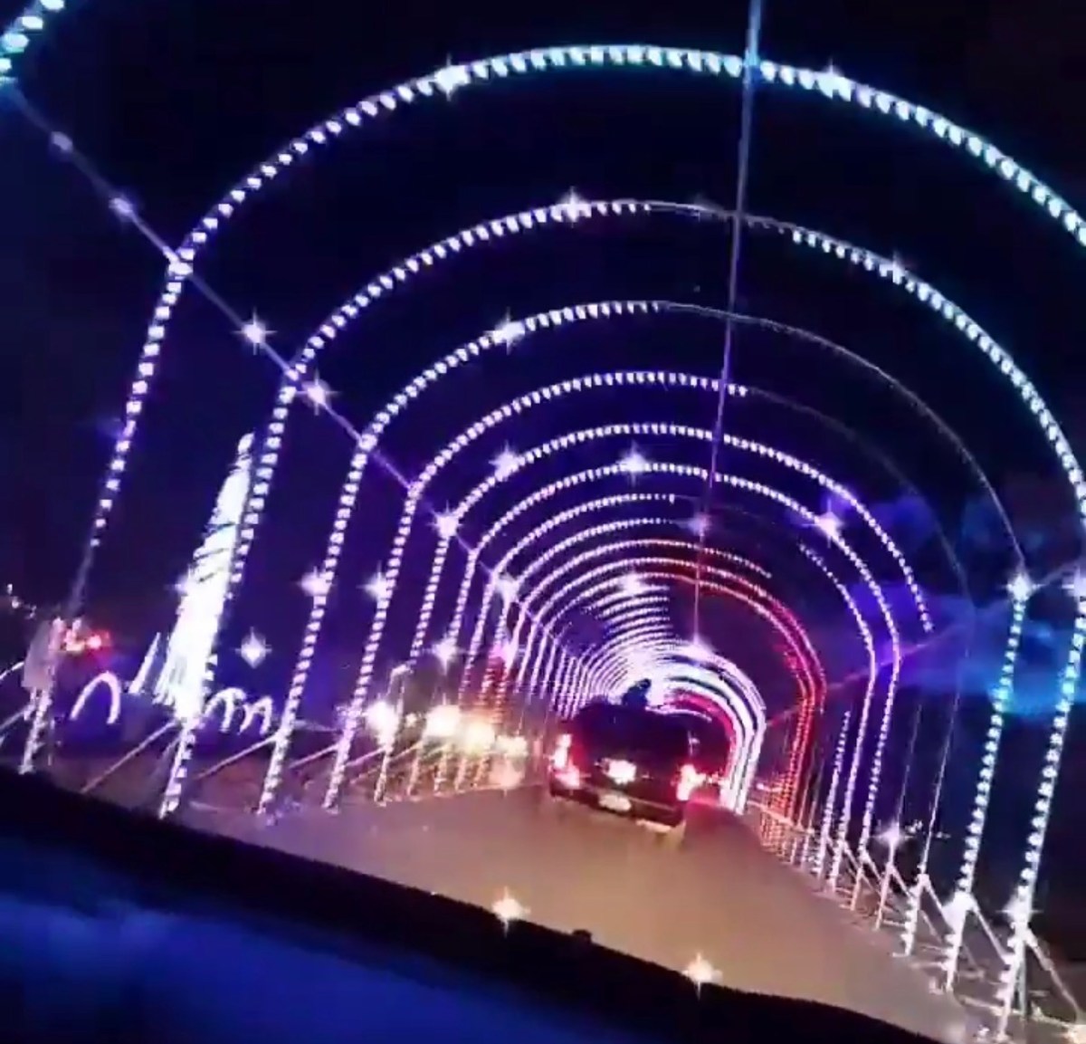 Holiday Events in San Jose: Where to Celebrate Winter Break